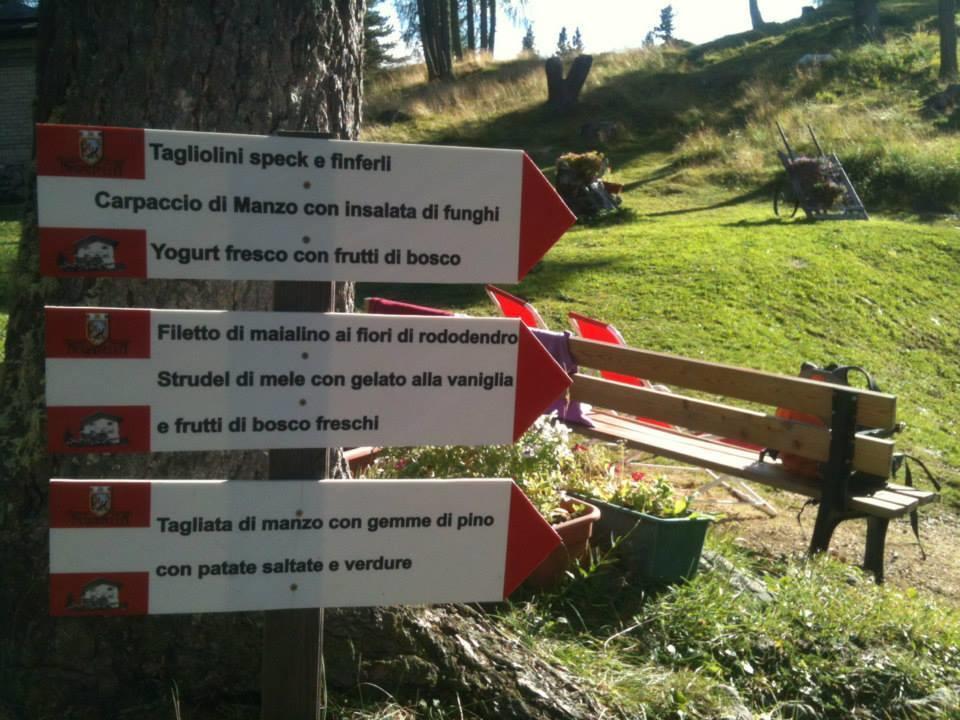 Rifugio Negritella Hotel Pozza di Fassa Esterno foto