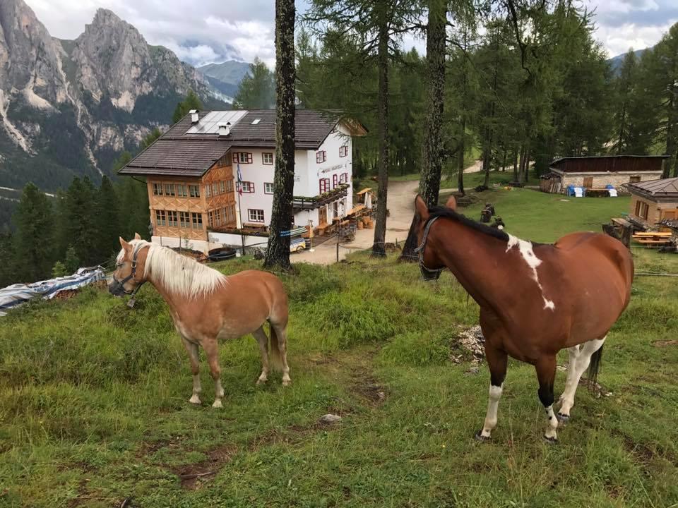 Rifugio Negritella Hotel Pozza di Fassa Esterno foto
