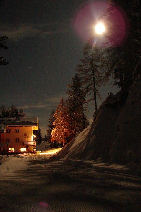 Rifugio Negritella Hotel Pozza di Fassa Esterno foto